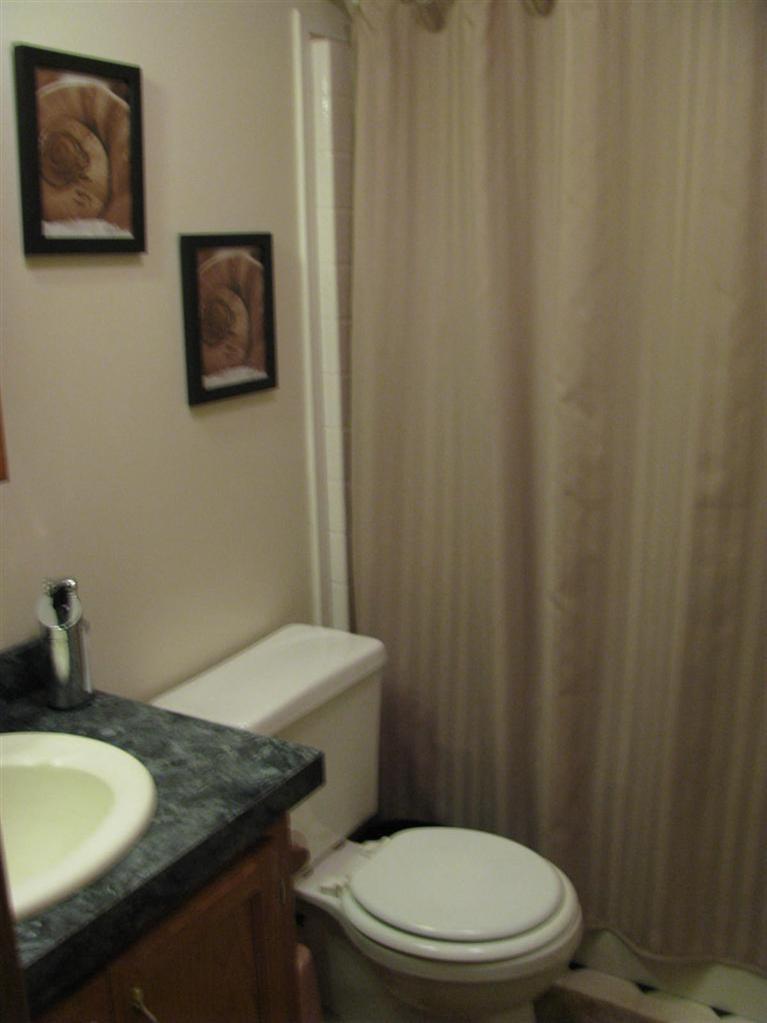 6592 Guy Road Nashville, MI 49073 - Photo 11 of 17 Additional Photo