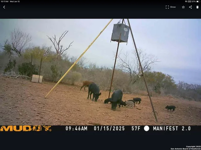 $510,000 | 11211 Fm 2779, Moore, TX 78057