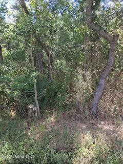 $35,000 | 0 1st Avenue, Bay St. Louis, MS 39520