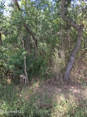 $35,000 | 0 1st Avenue, Bay St. Louis, MS 39520