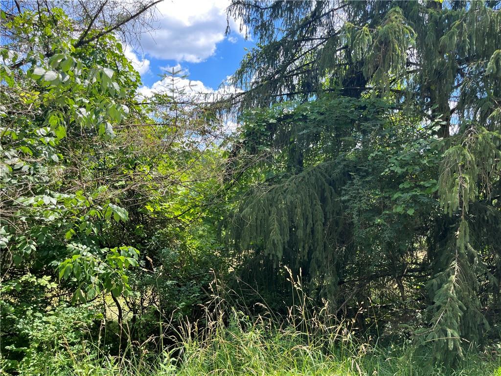 0 Calhoun Road Elizabeth, PA 15037 - Photo 5 of 12
