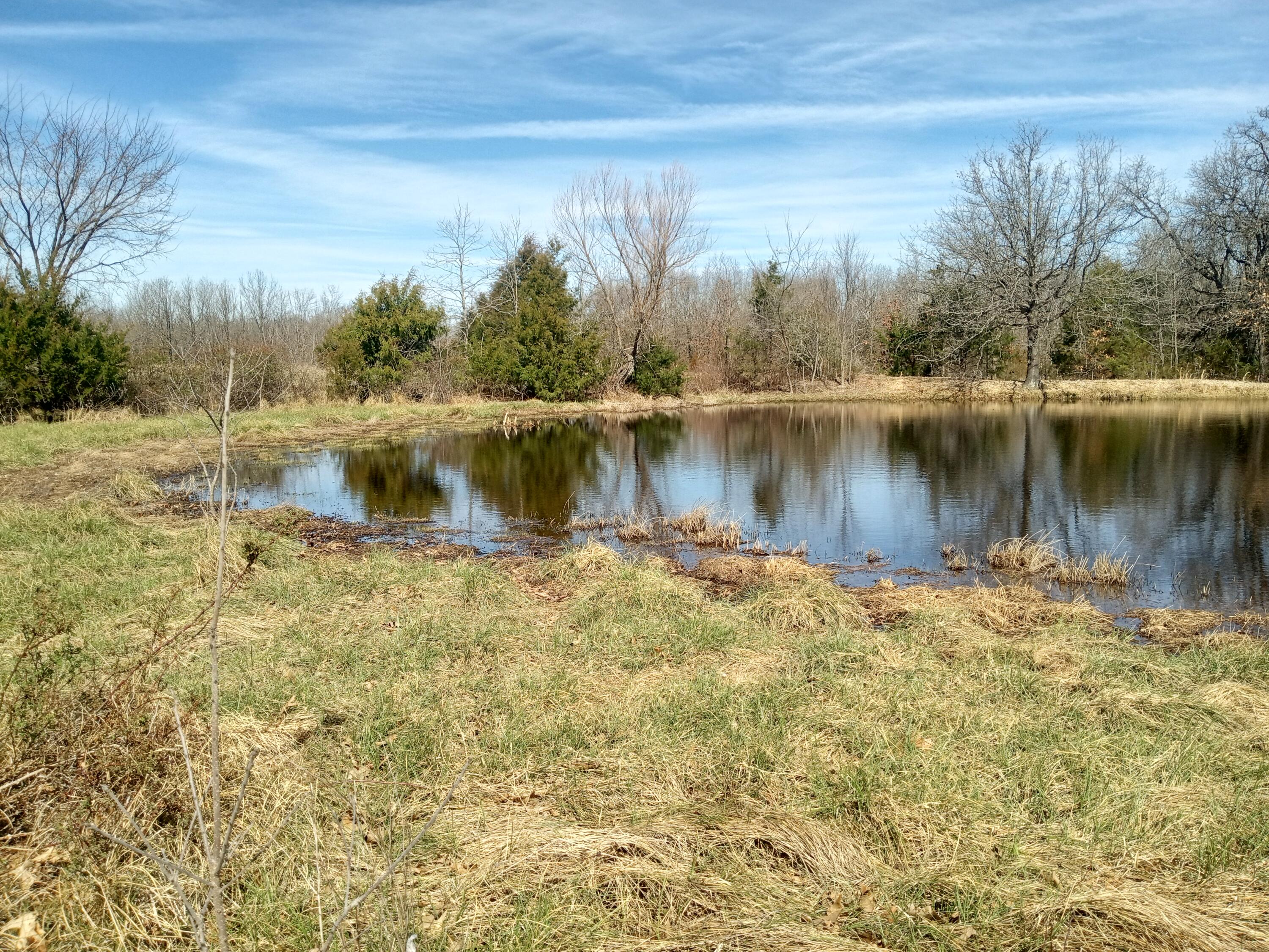 97 Three Springs Loop Long Lane, MO 65590 - Photo 14 of 20 IMG_20260318_121702860_HDR