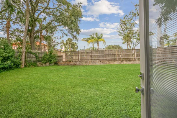 a view of a field with a tree in front of it