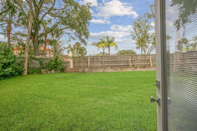 a view of a field with a tree in front of it