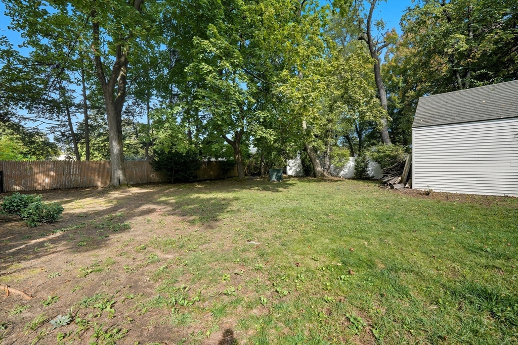1636 Longmeadow Street Longmeadow, MA 01106 - Photo 31 of 33 a view of a yard with a tree