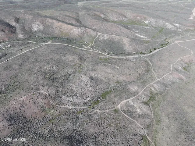 a view of a dry yard