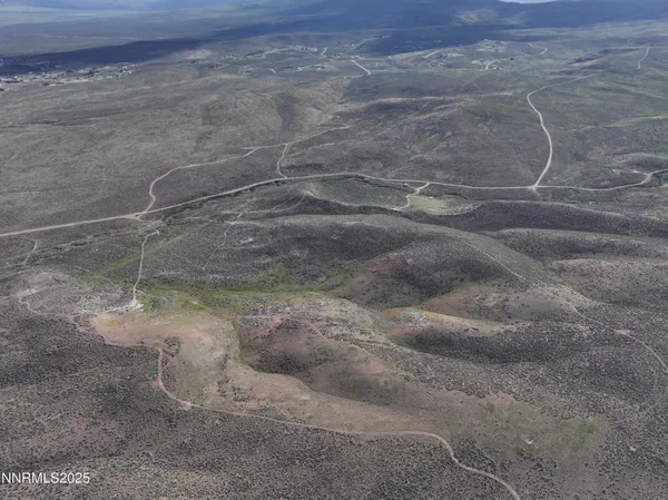 a view of a dry yard