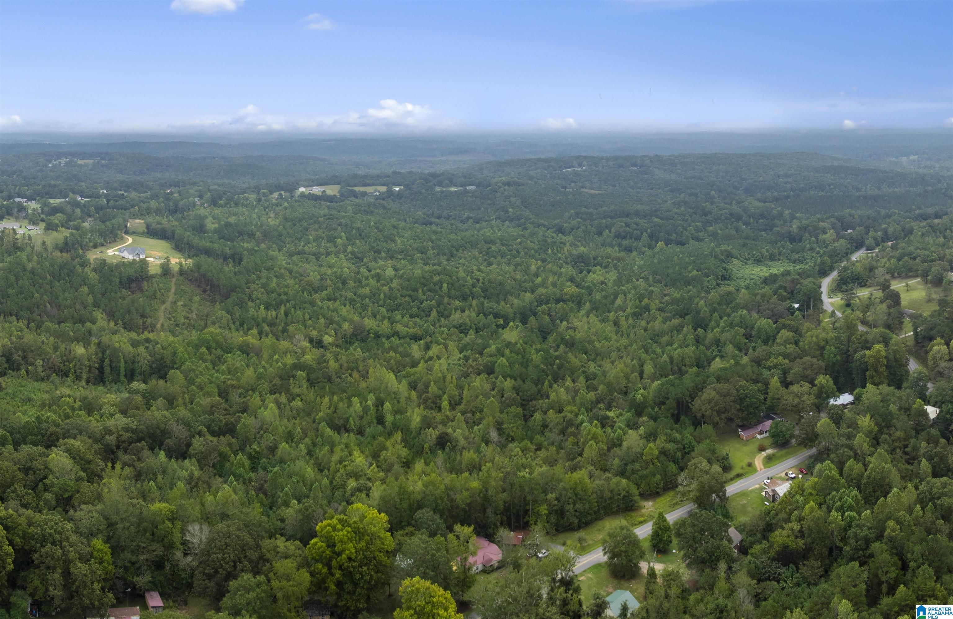 0 Beech Grove Road, Unit 1 Haleyville, AL 35565 - Photo 4 of 12