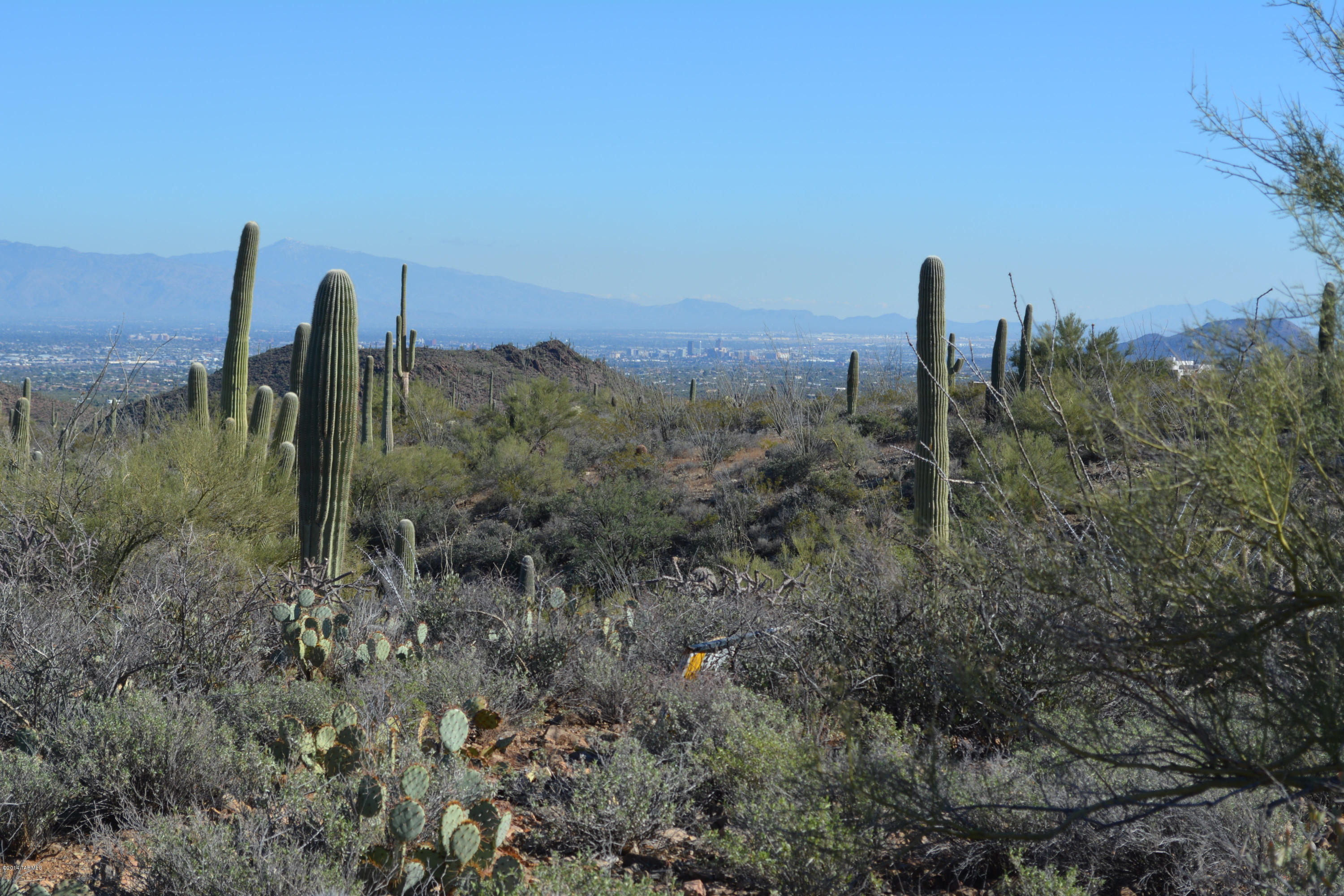 3955 North Broken Spring Trail Tucson, AZ 85745 - Photo 5 of 12