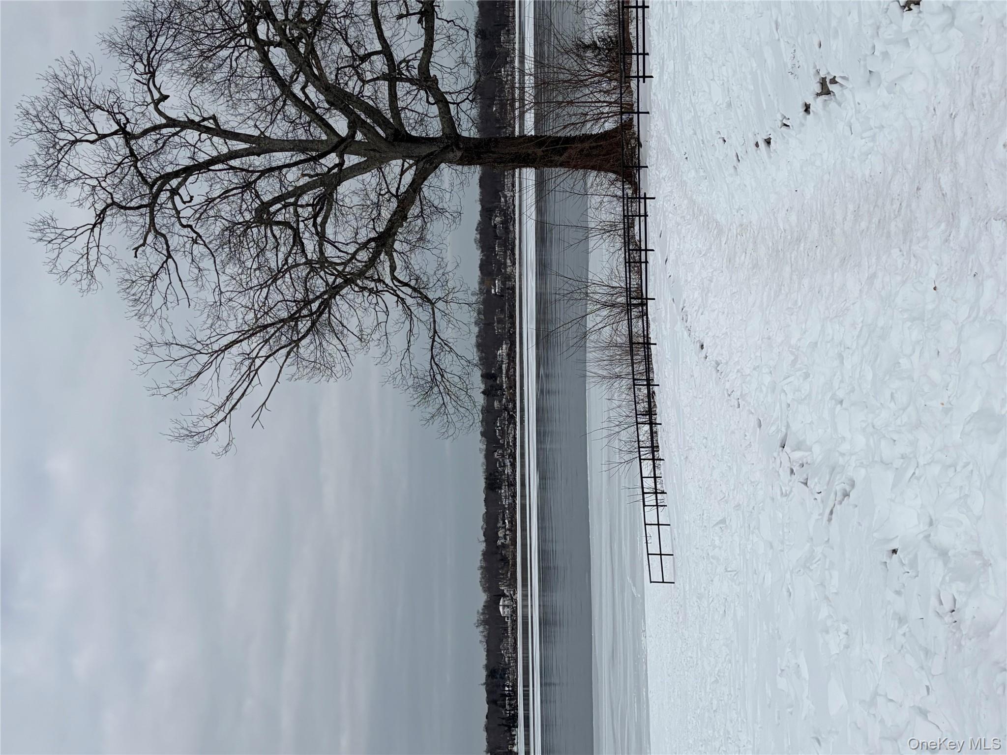 61 Eastview Road Ronkonkoma, NY 11779 - Photo 21 of 27 a view of a yard with a bench and trees