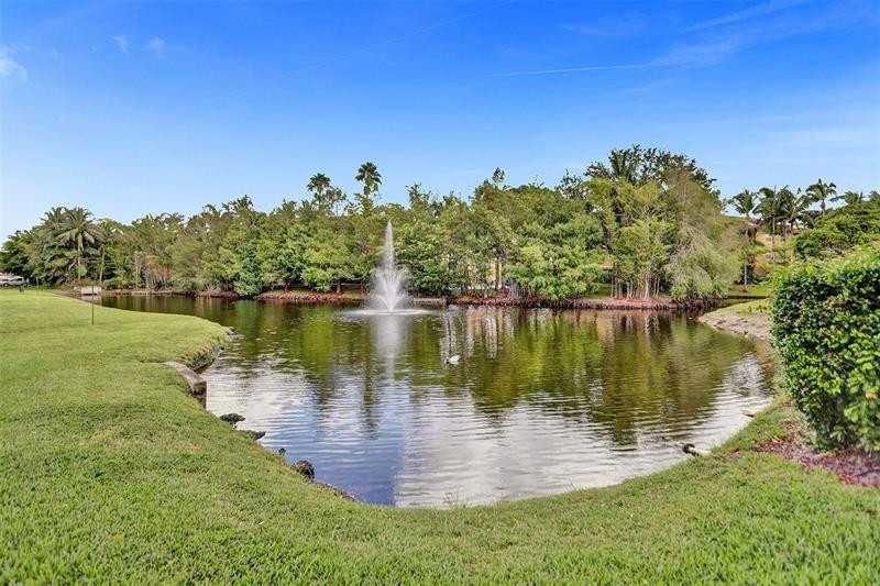 721 North Pine Island Road, Unit 213 Plantation, FL 33324 - Photo 29 of 34 a view of a lake with a big yard