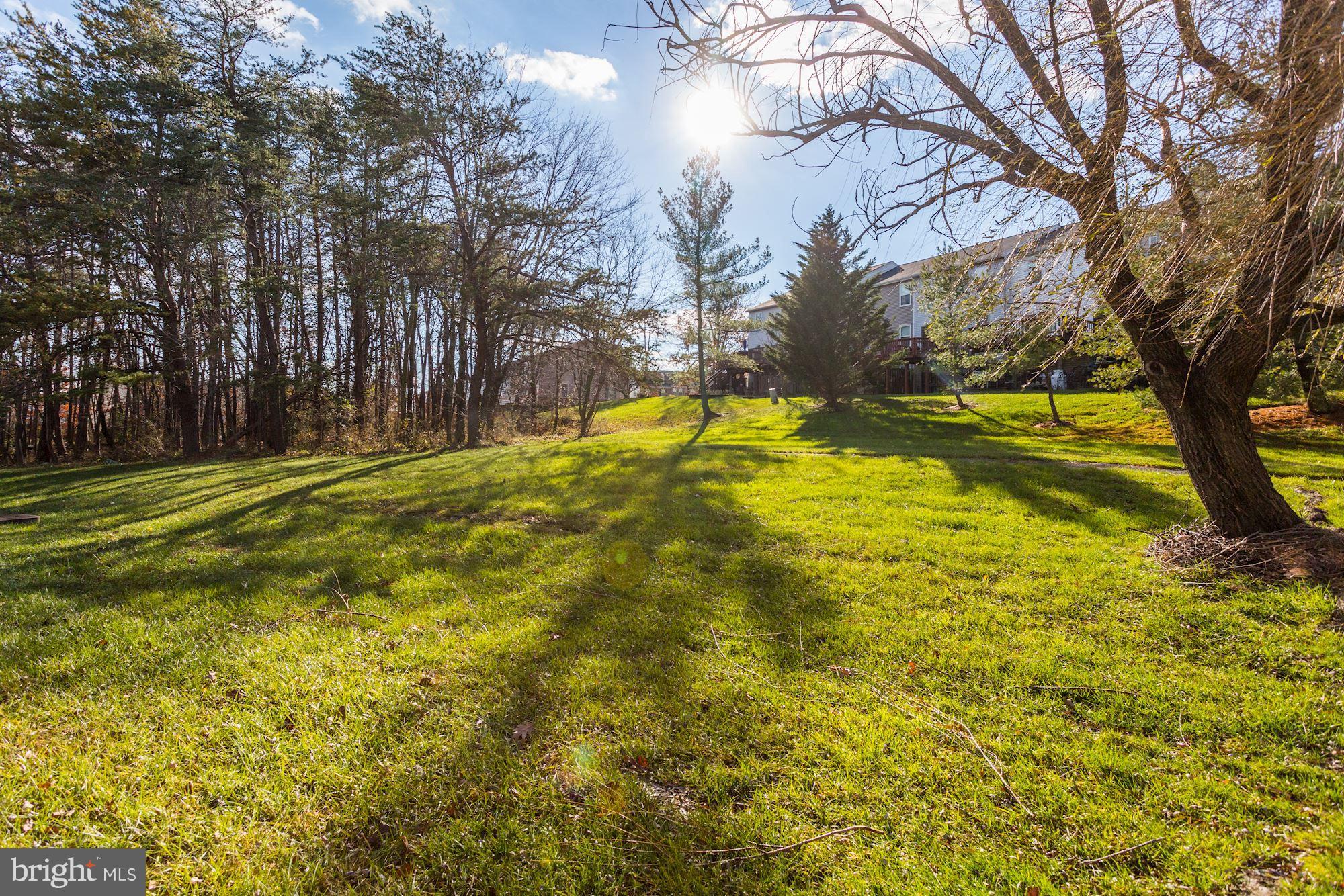 6819 Mayfair Road Laurel, MD 20707 - Photo 35 of 40 Tree filled area behind home