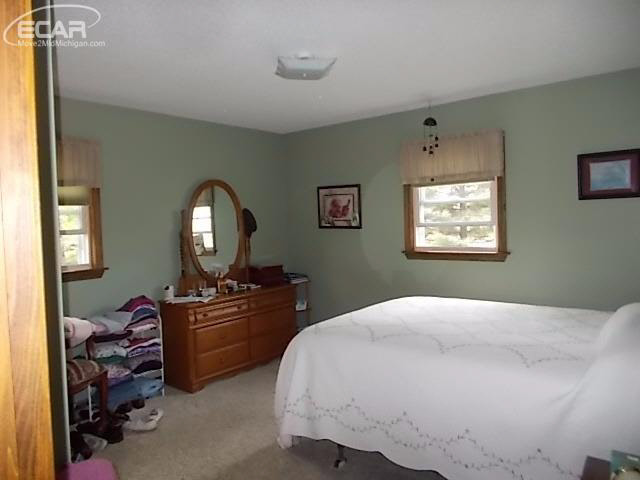 12294 West Mount Morris Road Flushing, MI 48433 - Photo 13 of 26 21290329-12.JPG