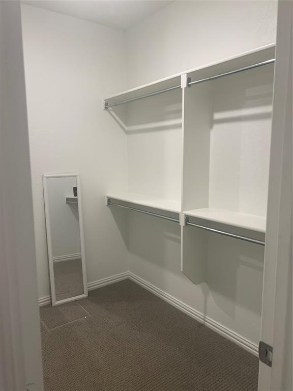 4304 Expedition Drive Oak Point, TX 75068 - Photo 14 of 19