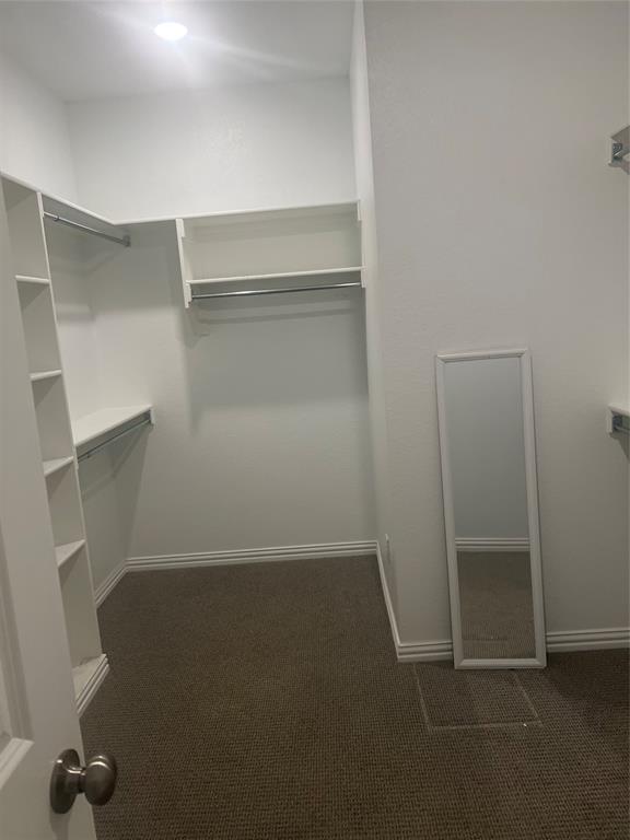 4304 Expedition Drive Oak Point, TX 75068 - Photo 15 of 19