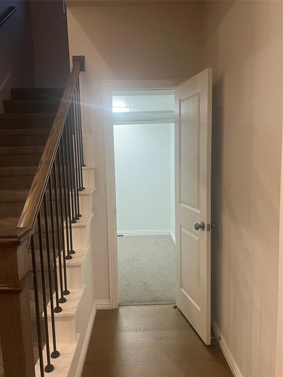 4304 Expedition Drive Oak Point, TX 75068 - Photo 8 of 19