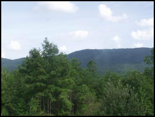 Lower Smithfield Road, Unit 2019 Tellico Plains, TN 37385 - Photo 3 of 3 2019_1