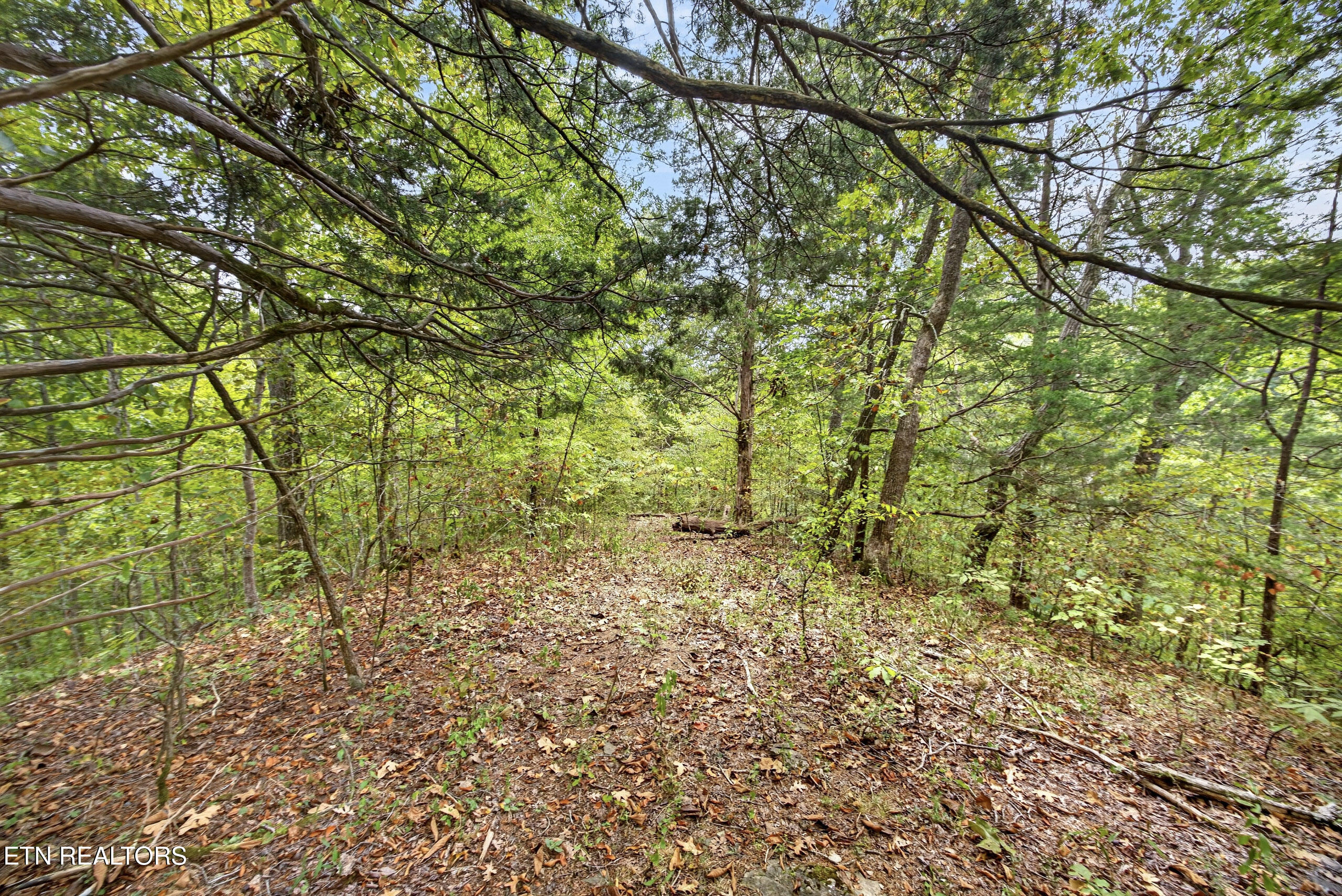 Lot 27 Timber Ridge Lane Celina, TN 38551 - Photo 3 of 21 2-8N5A6885
