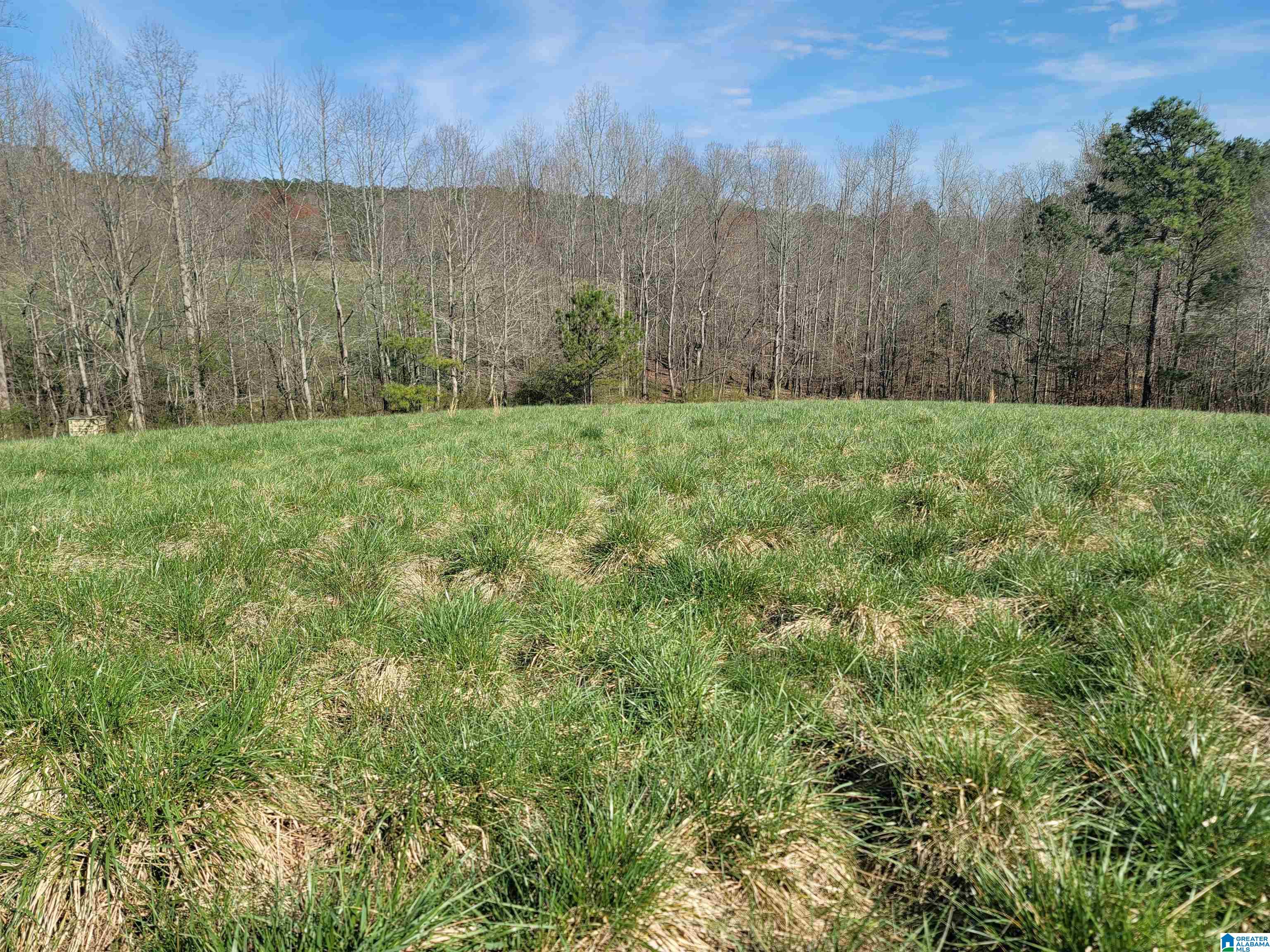 208 County Road, Unit 23 Muscadine, AL 36269 - Photo 3 of 11