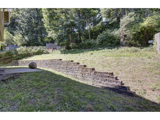 a view of a yard with large trees