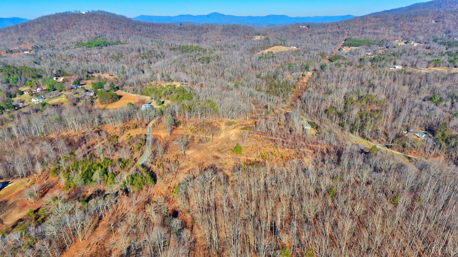 0 Nikonha Lane Monroe, VA 24574 - Photo 11 of 15 a view of a lush green forest with trees in the background