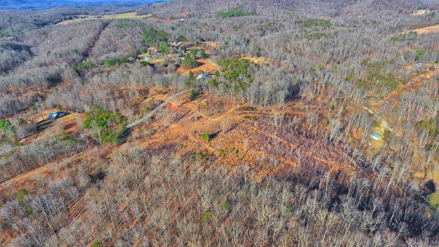 0 Nikonha Lane Monroe, VA 24574 - Photo 12 of 15