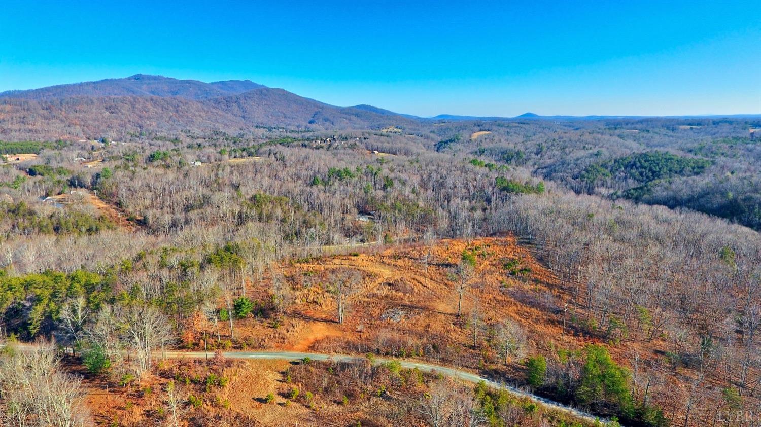 0 Nikonha Lane Monroe, VA 24574 - Photo 2 of 15 a view of a backyard with green space