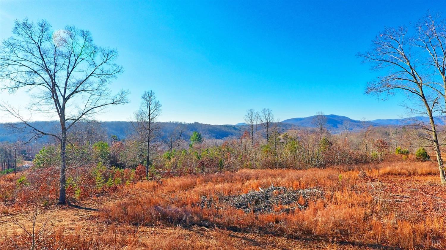 0 Nikonha Lane Monroe, VA 24574 - Photo 7 of 15 a view of a backyard of a house