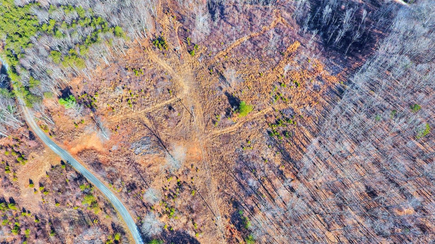 0 Nikonha Lane Monroe, VA 24574 - Photo 10 of 15