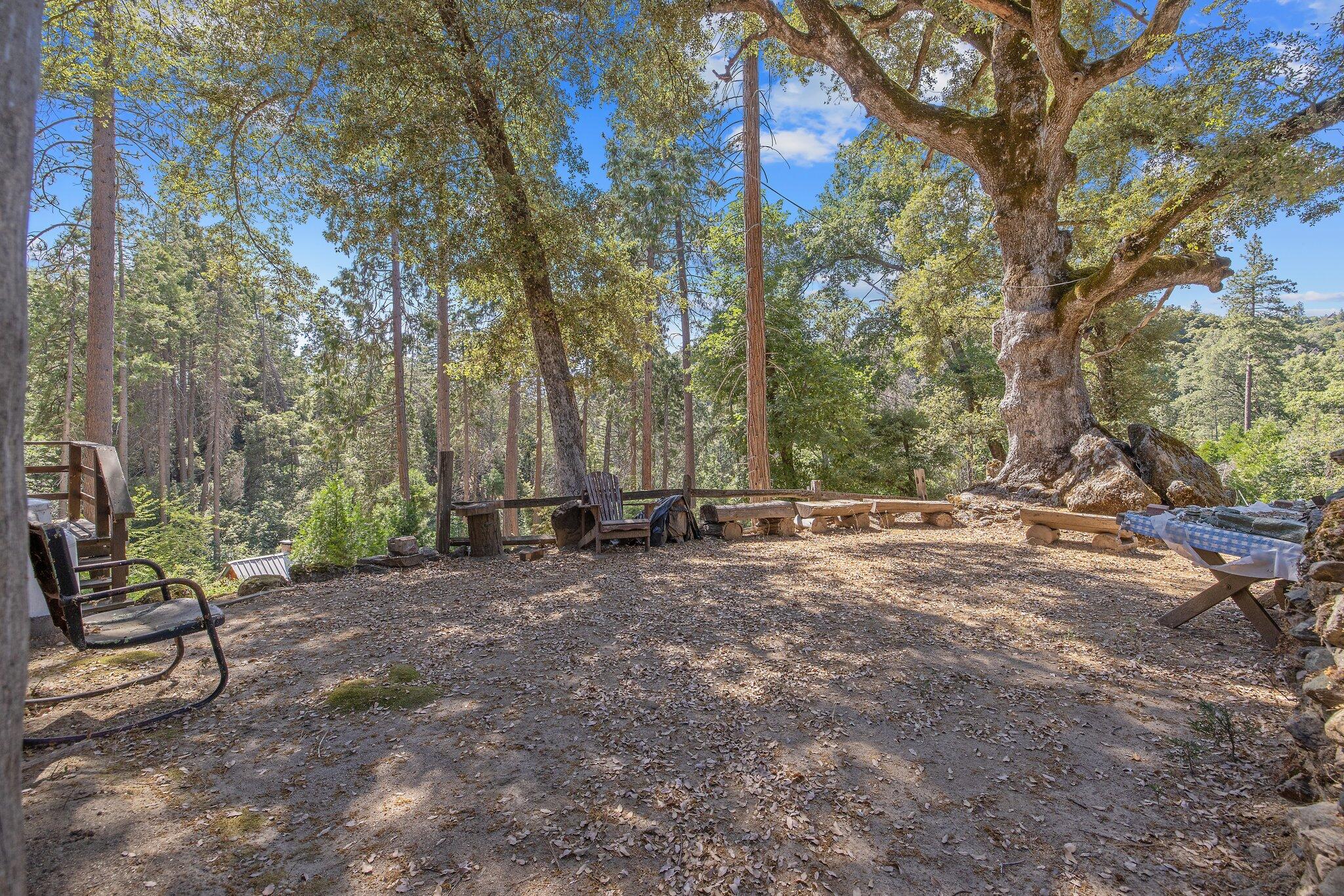 48675 Todd Eymann Road Miramonte, CA 93641 - Photo 47 of 103 46-web-or-mls-713A7226