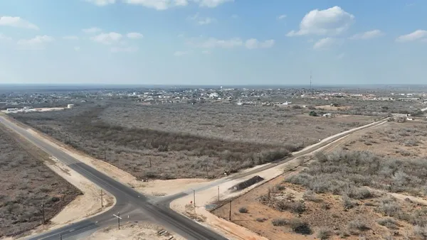 a view of a dry yard with wooden fence