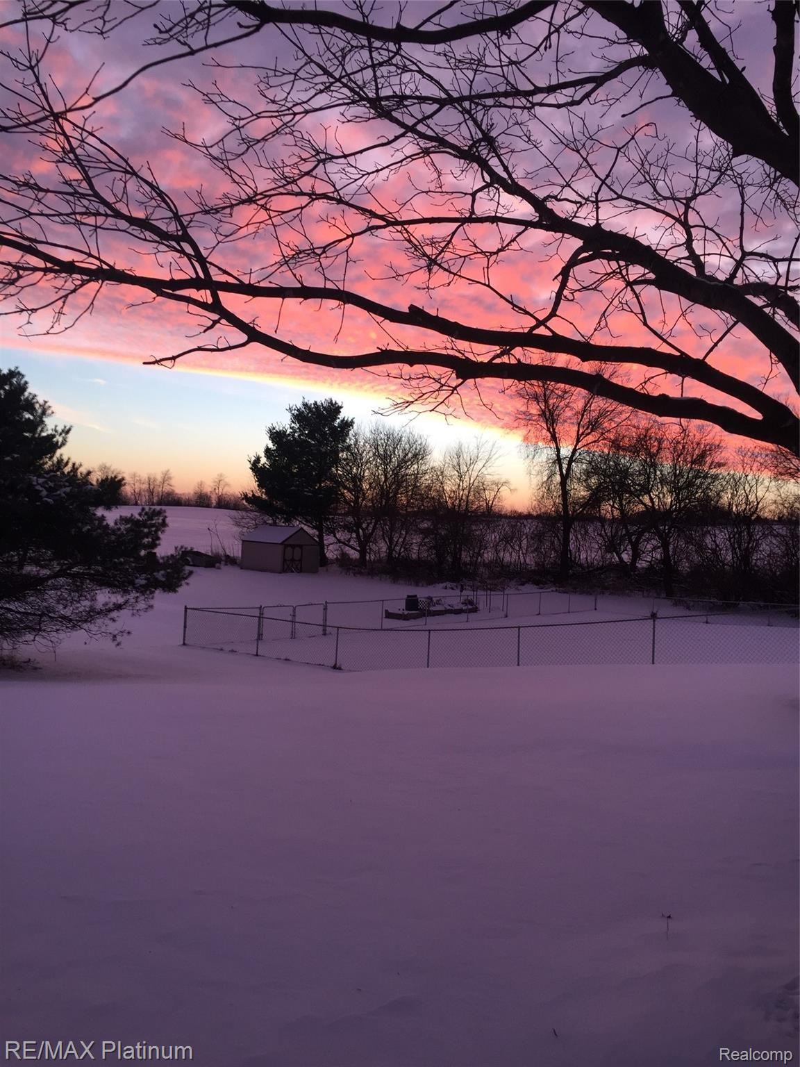 10335 Judd Road Fowlerville, MI 48836 - Photo 44 of 45 Winter Wonderland!