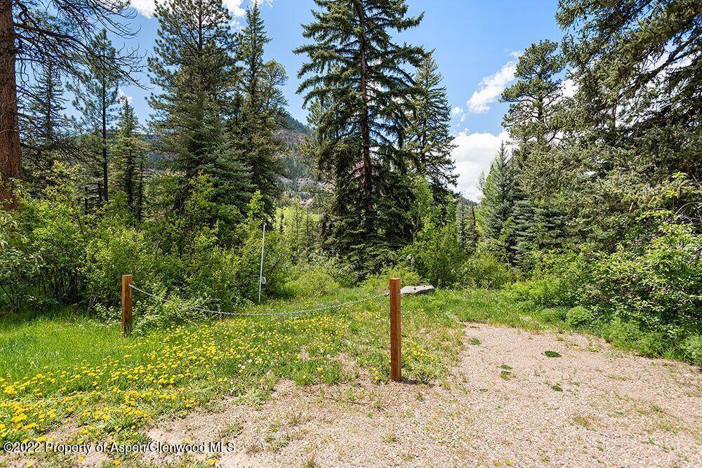 Tbd Firehouse Road Carbondale, CO 81623 - Photo 12 of 21 a view of a tree in a yard