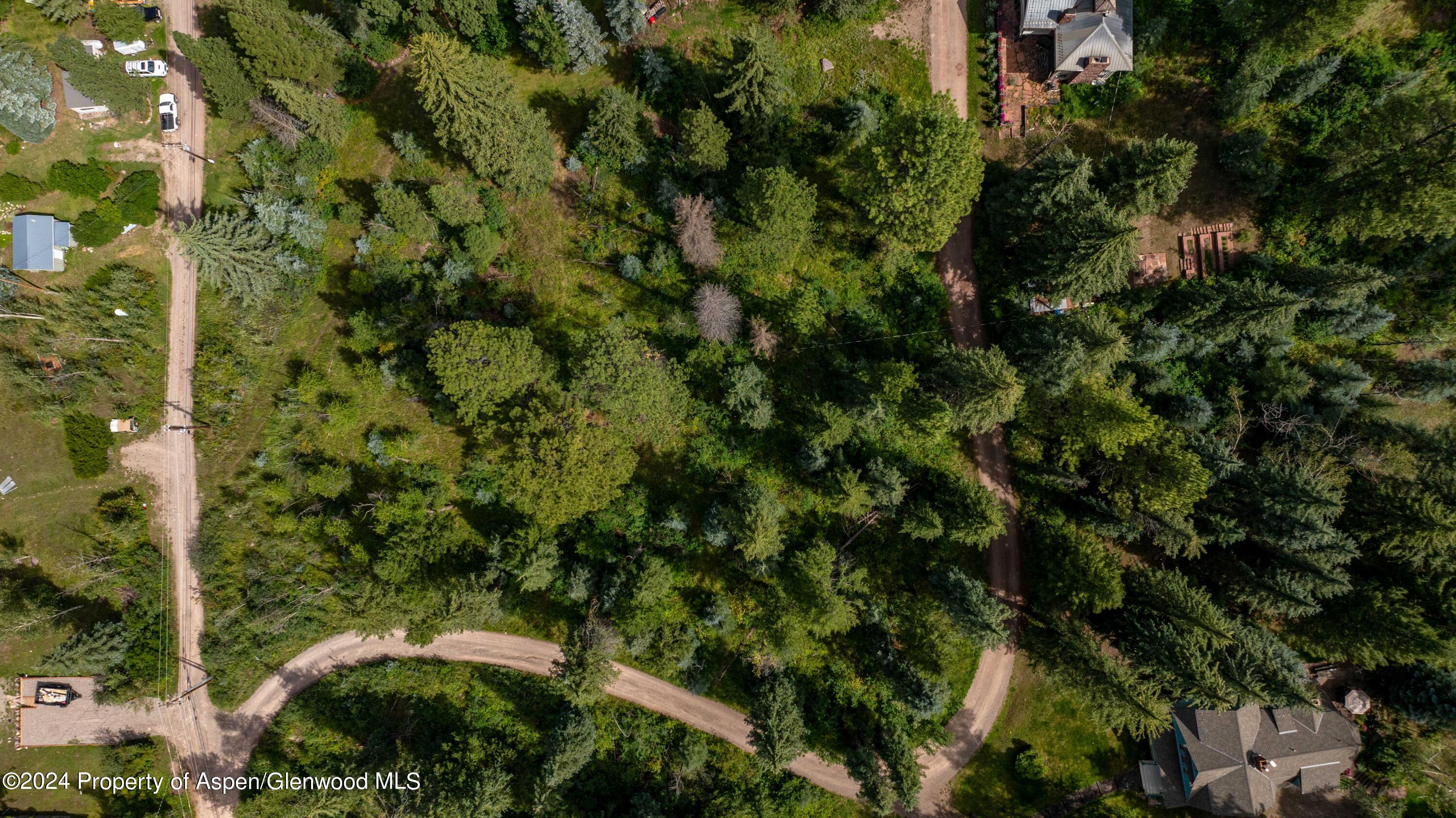 Tbd Firehouse Road Carbondale, CO 81623 - Photo 20 of 21 a view of a tree