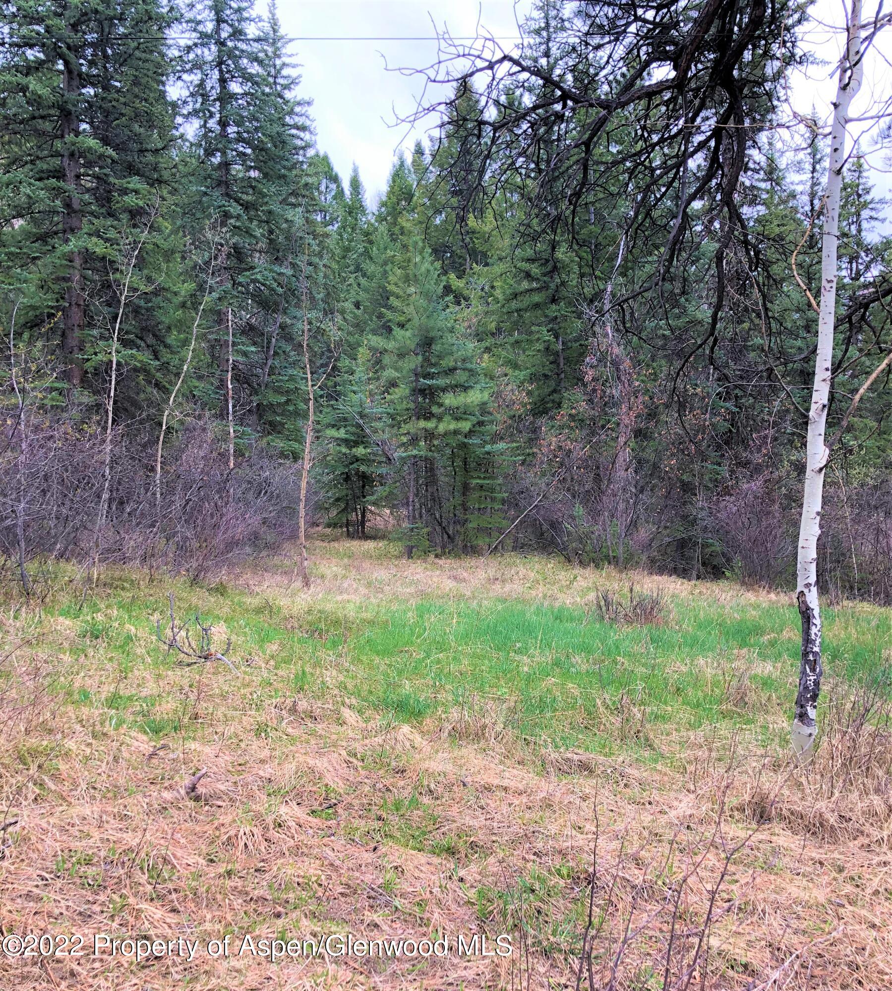 Tbd Firehouse Road Carbondale, CO 81623 - Photo 3 of 21 a backyard of a house with lots of green space