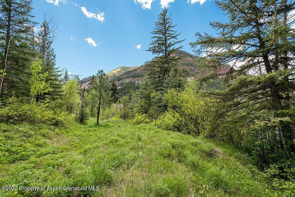 Tbd Firehouse Road Carbondale, CO 81623 - Photo 5 of 21 a view of a lush green space