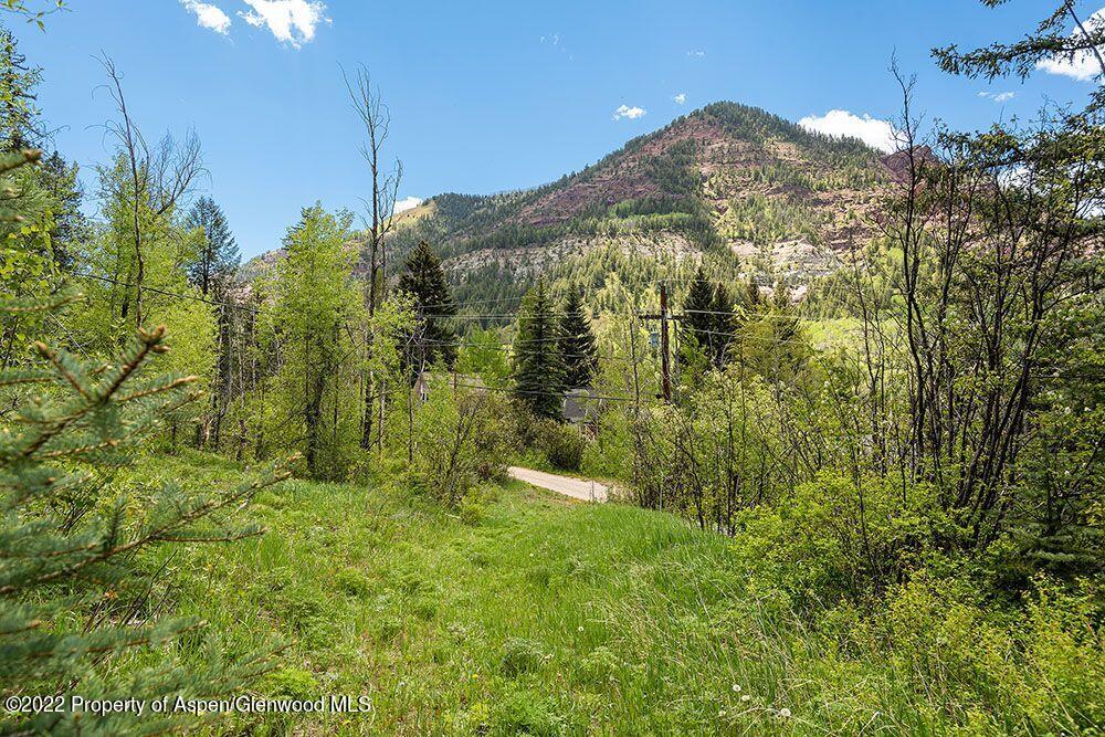 Tbd Firehouse Road Carbondale, CO 81623 - Photo 6 of 21 a view of a garden
