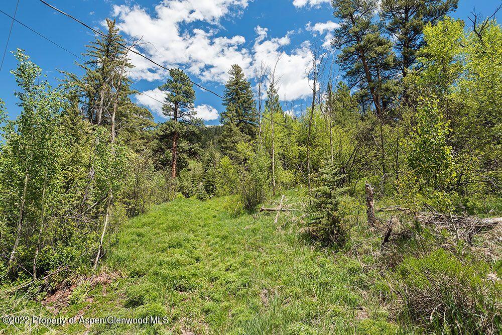 Tbd Firehouse Road Carbondale, CO 81623 - Photo 7 of 21 a view of a forest with a tree