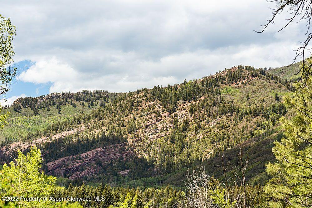Tbd Firehouse Road Carbondale, CO 81623 - Photo 9 of 21 a view of a bunch of trees and houses