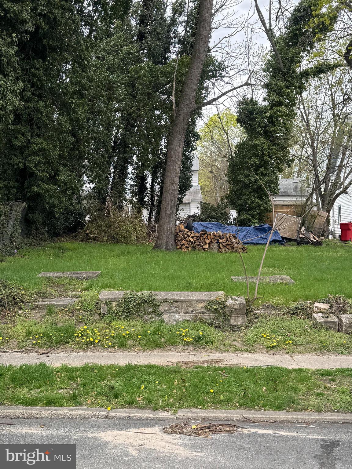 187 Vine Street Bridgeton, NJ 08302 - Photo 1 of 1 a view of a golf course with a garden