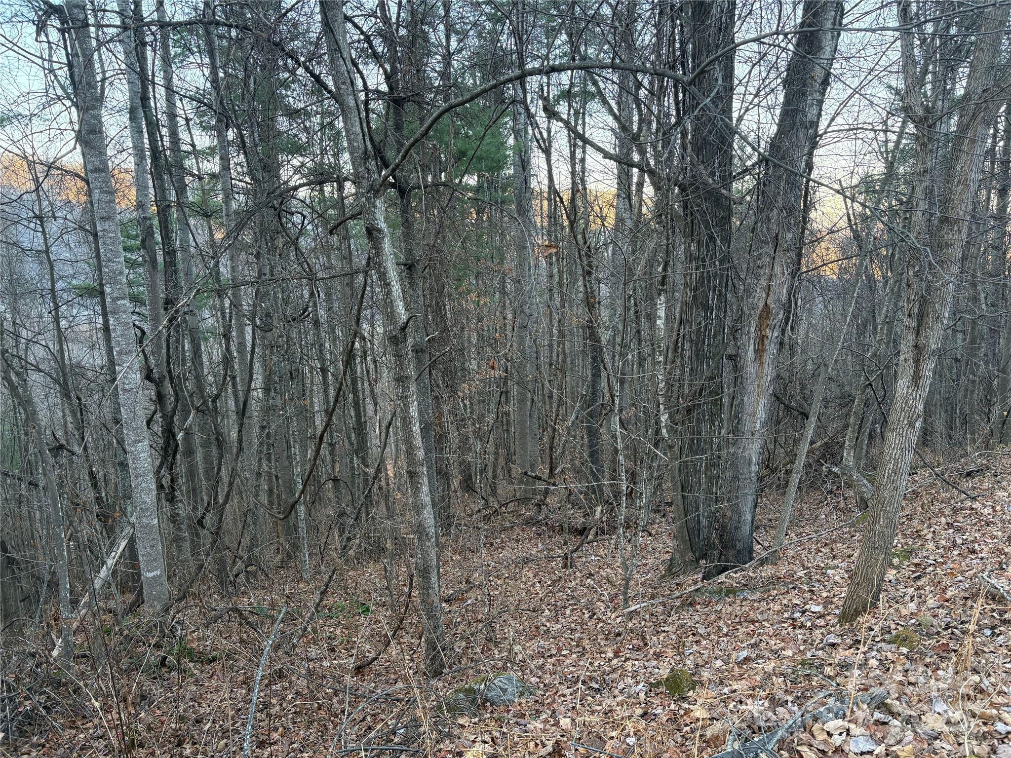 0 Slippery Rock Road, Unit 306 & 307 Waynesville, NC 28785 - Photo 12 of 25 a view of a forest