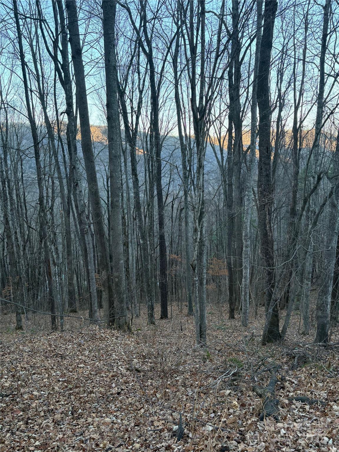 0 Slippery Rock Road, Unit 306 & 307 Waynesville, NC 28785 - Photo 13 of 25 a view of outdoor space with lots of trees