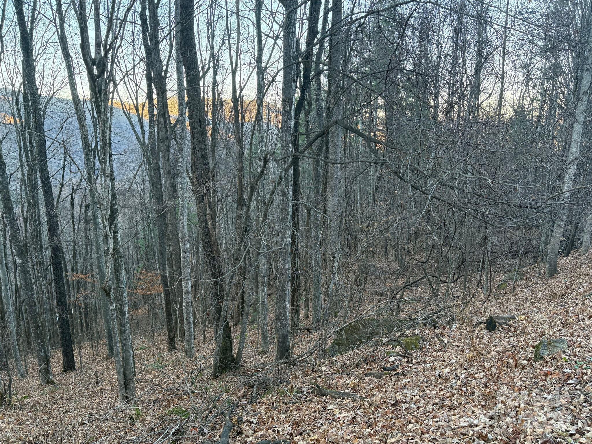 0 Slippery Rock Road, Unit 306 & 307 Waynesville, NC 28785 - Photo 14 of 25 a view of a forest