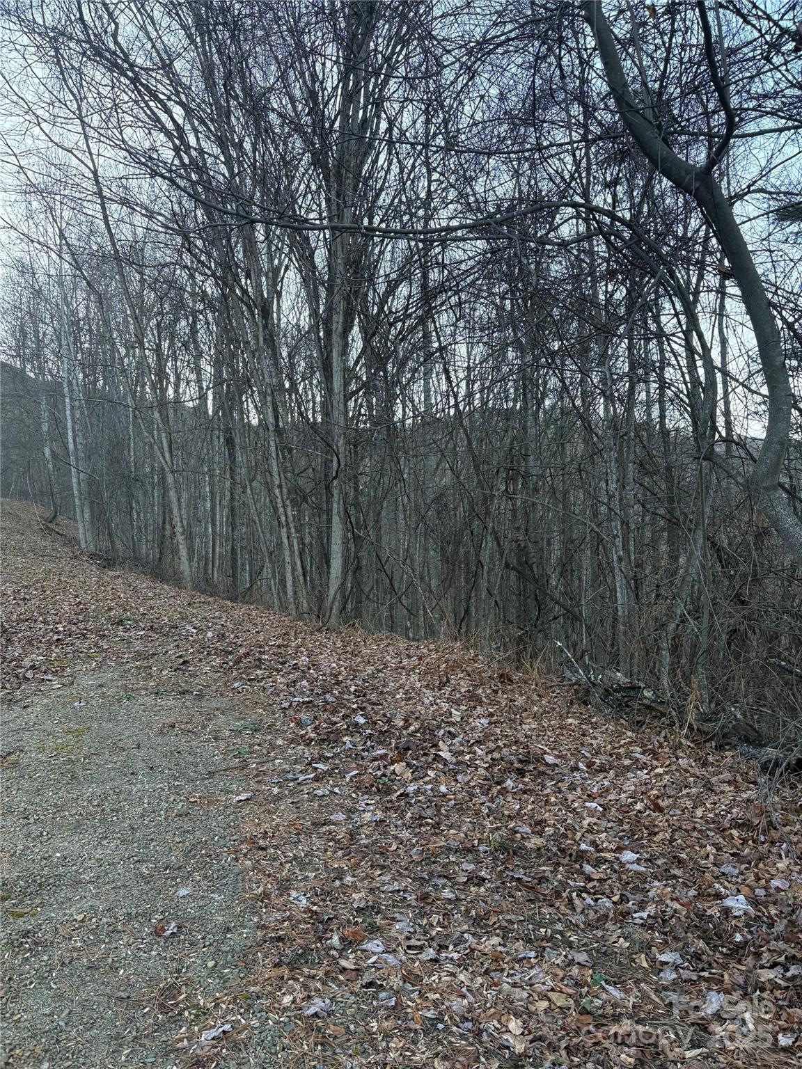 0 Slippery Rock Road, Unit 306 & 307 Waynesville, NC 28785 - Photo 15 of 25 a big yard with lots of green space