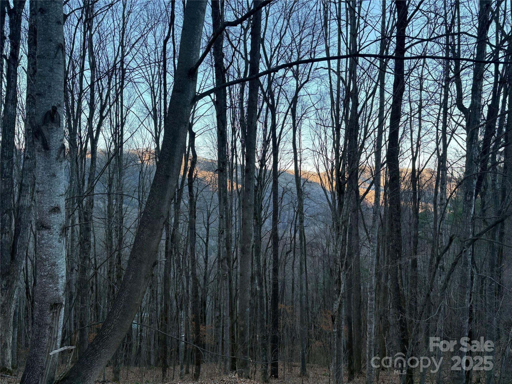 0 Slippery Rock Road, Unit 306 & 307 Waynesville, NC 28785 - Photo 2 of 25 a view of lots of trees