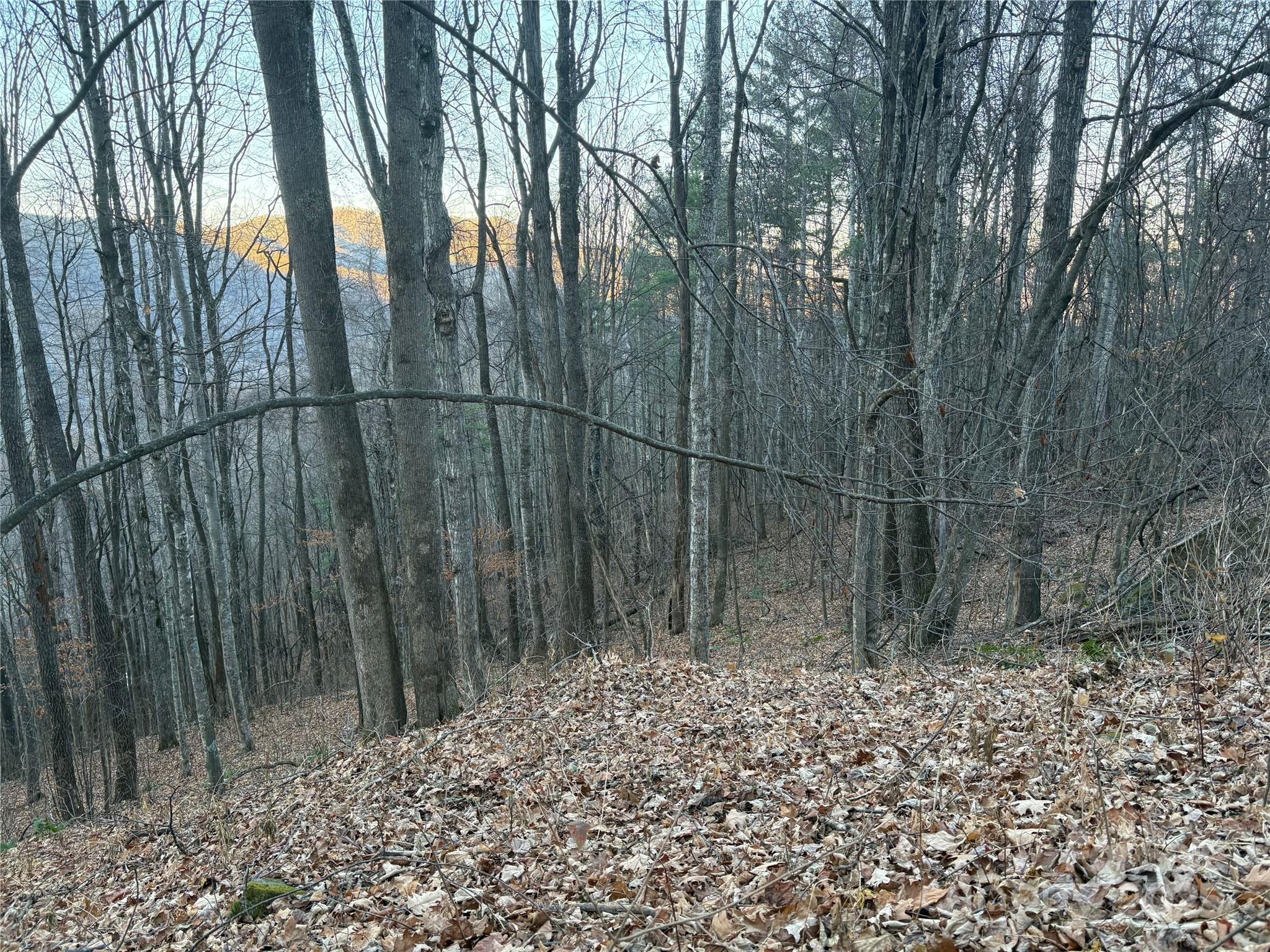 0 Slippery Rock Road, Unit 306 & 307 Waynesville, NC 28785 - Photo 3 of 25 a backyard of a house with lots of green space
