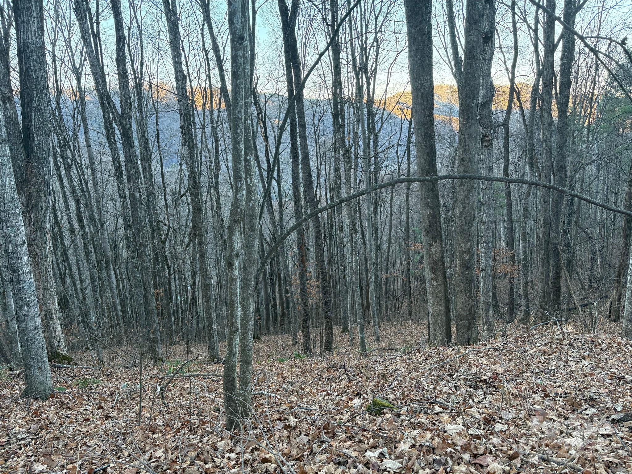 0 Slippery Rock Road, Unit 306 & 307 Waynesville, NC 28785 - Photo 4 of 25 a backyard of a house with lots of green space