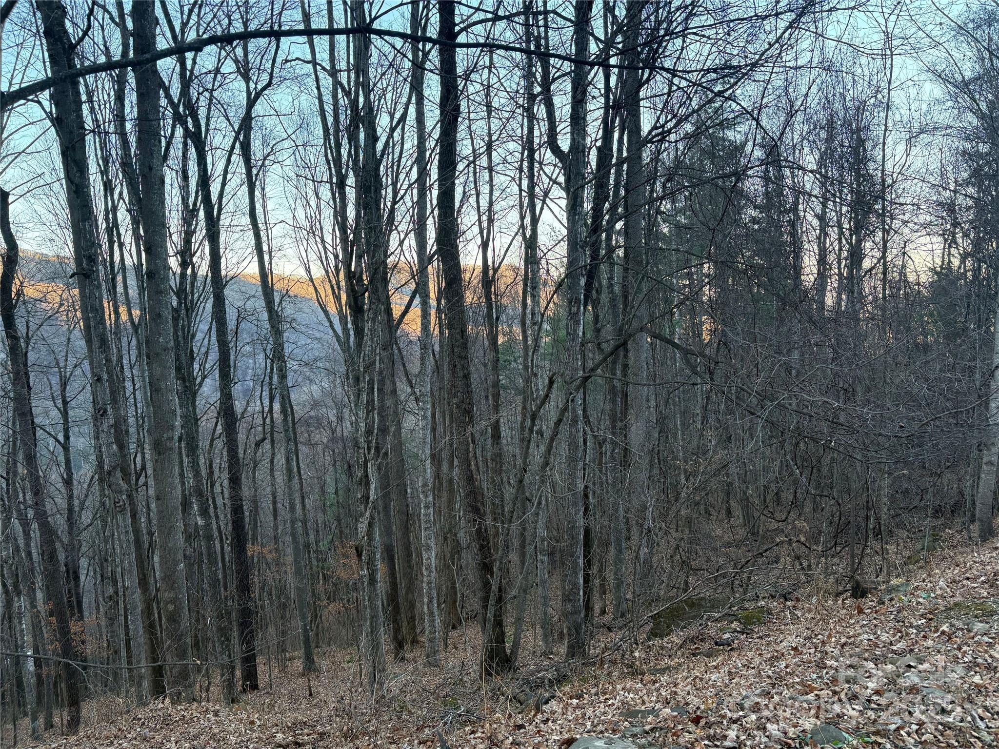 0 Slippery Rock Road, Unit 306 & 307 Waynesville, NC 28785 - Photo 9 of 25 a view of forest