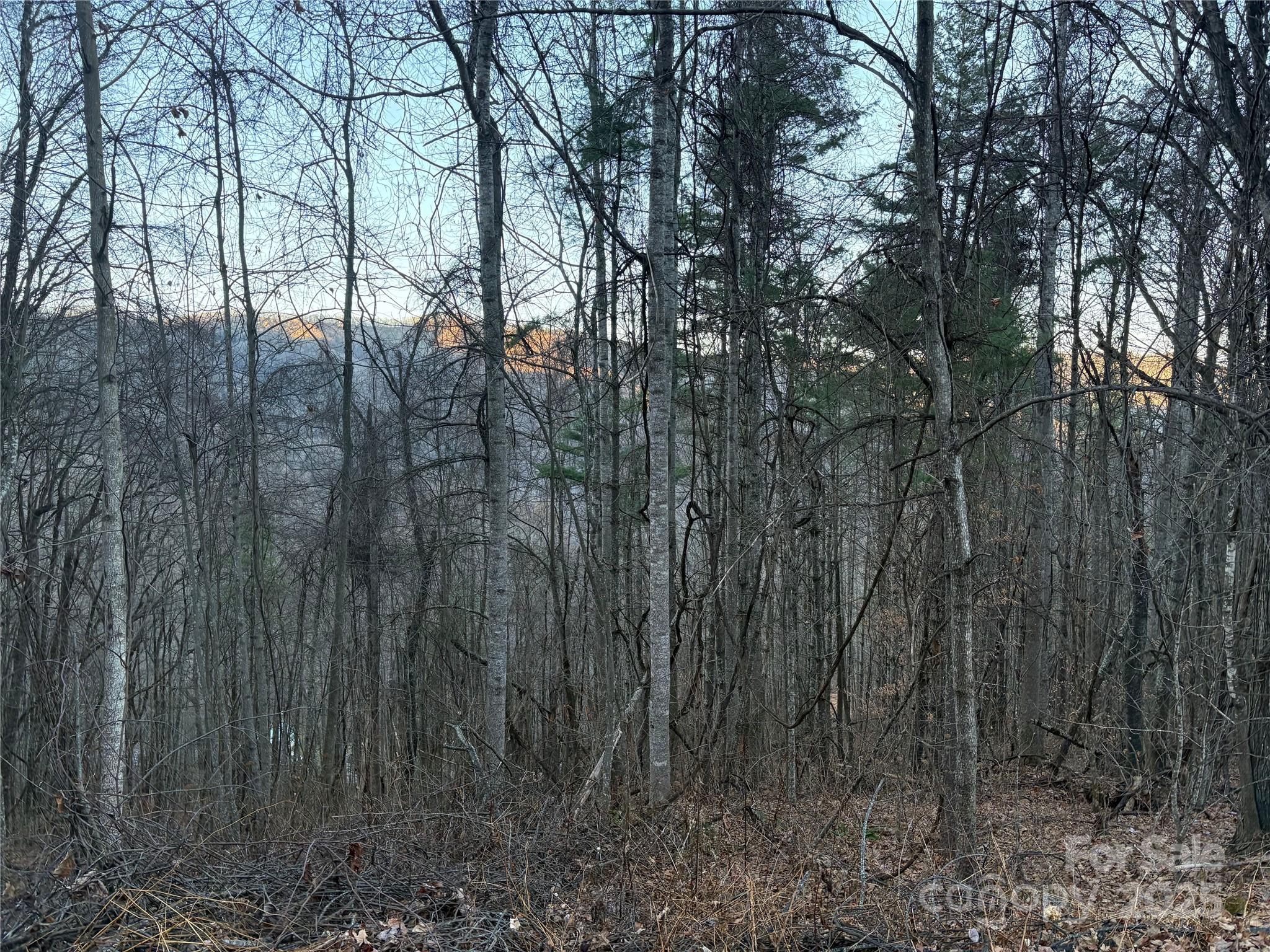 0 Slippery Rock Road, Unit 306 & 307 Waynesville, NC 28785 - Photo 10 of 25