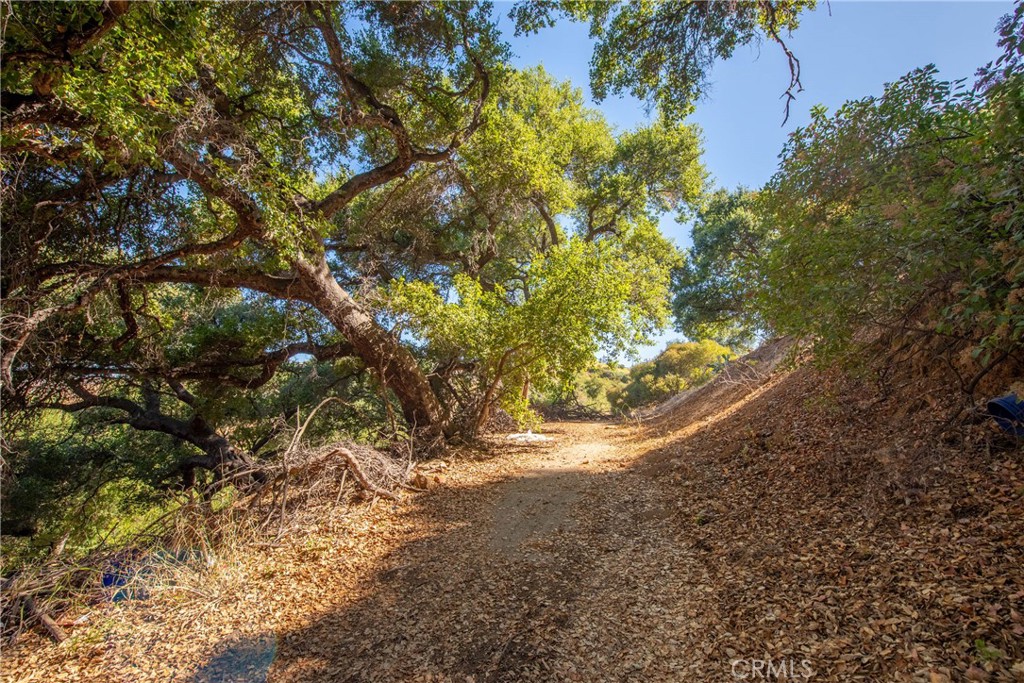 7210 Santa Susana Pass Road Simi Valley, CA 93063 - Photo 11 of 32